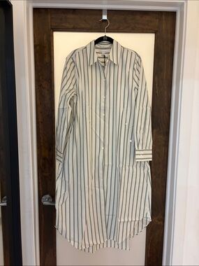 Banana Republic Women’s White and Green Striped Dress